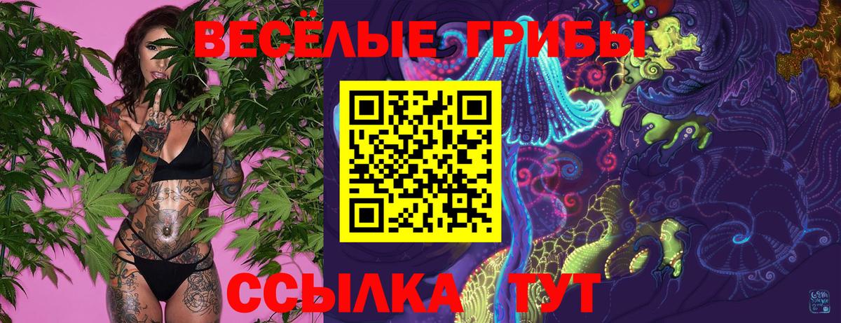 Галлюциногенные грибы GOLDEN TEACHER Уварово