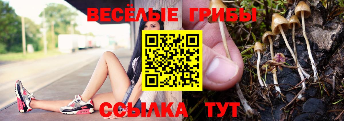 Уварово  Псилоцибиновые грибы мицелий  Вход с VPN 